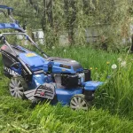 Фото покупателя 1 к отзыву