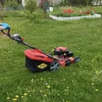 Фото покупателя 1 к отзыву
