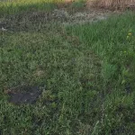 Фото покупателя 3 к отзыву