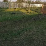 Фото покупателя 2 к отзыву