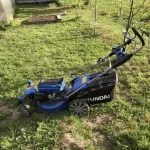 Фото покупателя 1 к отзыву