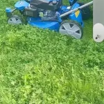 Фото покупателя 1 к отзыву